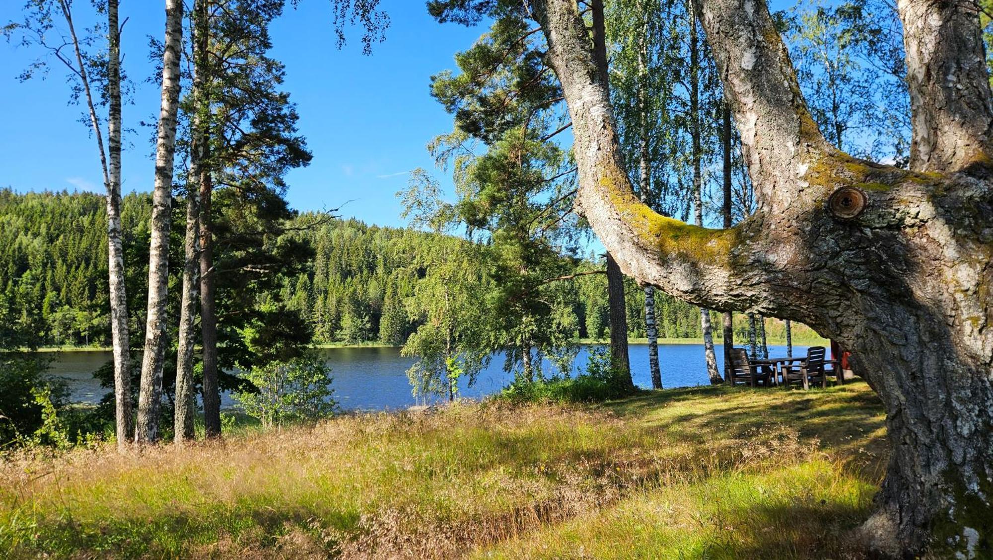 Kilsborgs Gard - Lakehouse Svanskog Exterior photo